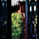 水乡林海酒家 - 泰州市旅游 缩略图 9