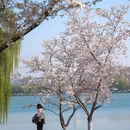 古鸡鸣寺 - 南京市旅游 缩略图 3
