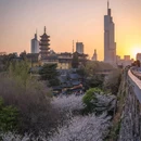 古鸡鸣寺 - 南京市旅游 缩略图 6