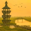 千垛菜花风景区 - 泰州市旅游 缩略图 8