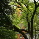 中山大学(广州校区南校园) - 广州市旅游 缩略图 2
