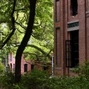 中山大学(广州校区南校园) - 广州市旅游 缩略图 9