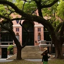 中山大学(广州校区南校园) - 广州市旅游 缩略图 6