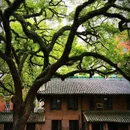 中山大学(广州校区南校园) - 广州市旅游 缩略图 8