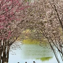 沣河森林公园[地铁站] - 咸阳市旅游 缩略图 7