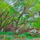 海淀公园 - 北京市旅游 缩略图 6