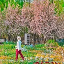 海淀公园 - 北京市旅游 缩略图 1