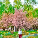 海淀公园 - 北京市旅游 缩略图 5