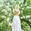 惠山古镇寄畅园朝房 - 无锡市旅游 缩略图 7