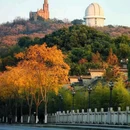 上海佘山国家森林公园 - 上海市旅游 缩略图 1