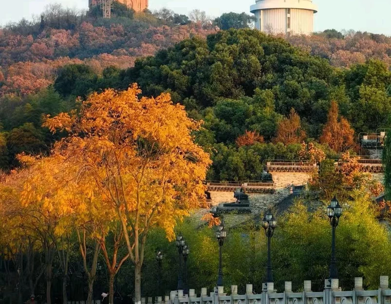 上海佘山国家森林公园 - 上海市旅游 1