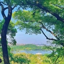 上海佘山国家森林公园 - 上海市旅游 缩略图 5