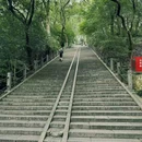 上海佘山国家森林公园 - 上海市旅游 缩略图 8