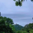 上海佘山国家森林公园 - 上海市旅游 缩略图 9