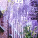 徐汇康健园 - 上海市旅游 缩略图 1