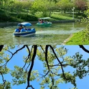苏州上方山国家森林公园 - 苏州市旅游 缩略图 4