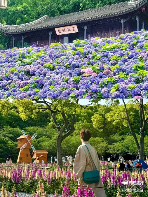 苏州上方山国家森林公园 - 苏州市旅游