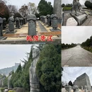 中山街 - 咸阳市旅游 缩略图 5