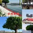 中山街 - 咸阳市旅游 缩略图 8