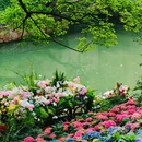 虎丘山风景名胜区 - 苏州市旅游 缩略图 3
