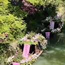 虎丘山风景名胜区 - 苏州市旅游 缩略图 2