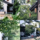 巡塘古镇 - 无锡市旅游 缩略图 2