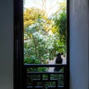 桂林公园-醉月亭 - 上海市旅游 缩略图 4