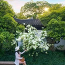 桂林公园-醉月亭 - 上海市旅游 缩略图 2
