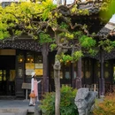 桂林公园-醉月亭 - 上海市旅游 缩略图 9