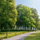 升仙湖公园 - 成都市旅游 缩略图 9