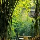 鹅岭公园 - 重庆市旅游 缩略图 4