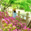 虎丘山风景名胜区 - 苏州市旅游 缩略图 1
