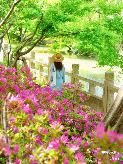 虎丘山风景名胜区 - 苏州市旅游