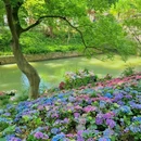 虎丘山风景名胜区 - 苏州市旅游 缩略图 2
