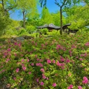 虎丘山风景名胜区 - 苏州市旅游 缩略图 5