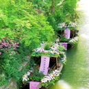 虎丘山风景名胜区 - 苏州市旅游 缩略图 7