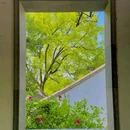 虎丘山风景名胜区 - 苏州市旅游 缩略图 8