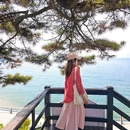 栈桥景区 - 青岛市旅游 缩略图 4