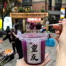 重庆园博园 - 重庆市旅游 缩略图 8