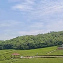 宜兴竹海风景区 - 无锡市旅游 缩略图 5