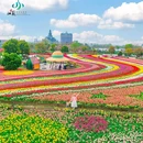 南京南站 - 南京市旅游 缩略图 9