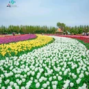 南京南站 - 南京市旅游 缩略图 3