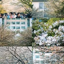 玄武湖景区-解放门 - 南京市旅游 缩略图 5