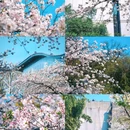玄武湖景区-解放门 - 南京市旅游 缩略图 6