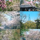 玄武湖景区-解放门 - 南京市旅游 缩略图 7
