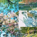 玄武湖景区-解放门 - 南京市旅游 缩略图 8