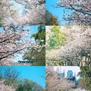 玄武湖景区-解放门 - 南京市旅游 缩略图 9