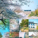 玄武湖景区-解放门 - 南京市旅游 缩略图 1