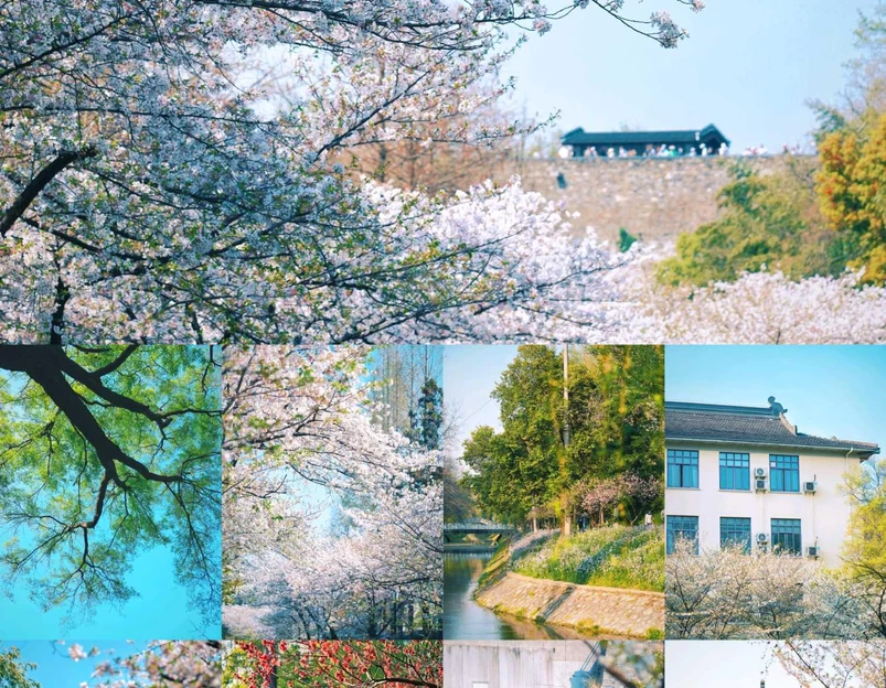 玄武湖景区-解放门 - 南京市旅游 1