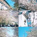 玄武湖景区-解放门 - 南京市旅游 缩略图 3